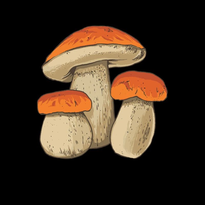 Cueilleur de champignons Champignons Champignons Cèpes Champignons Chercheurs de champignons