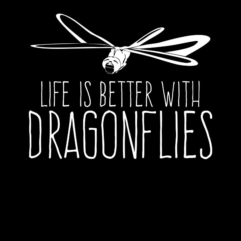 Libellule Insecte Libellules Libellules Libellules