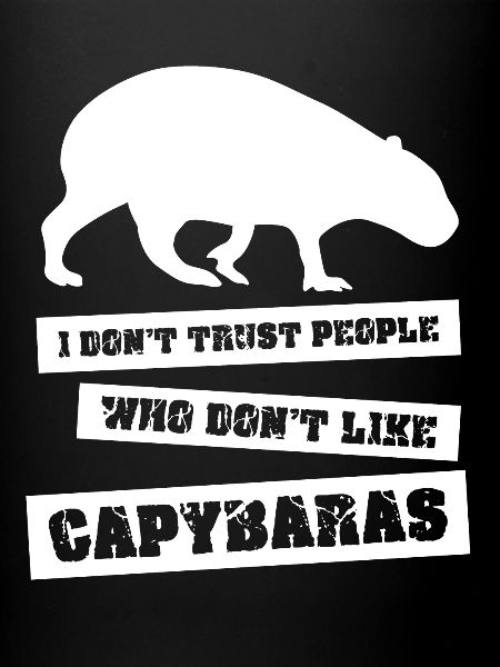 Capybara Blagues Capybara Capybaras