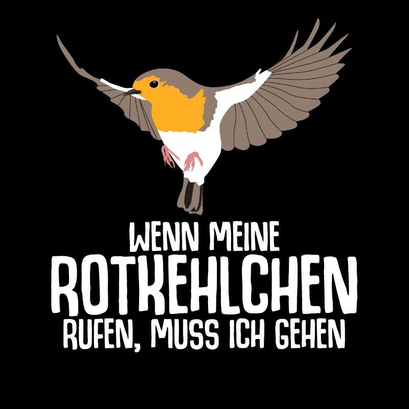 Rotkehlchen Vogel
