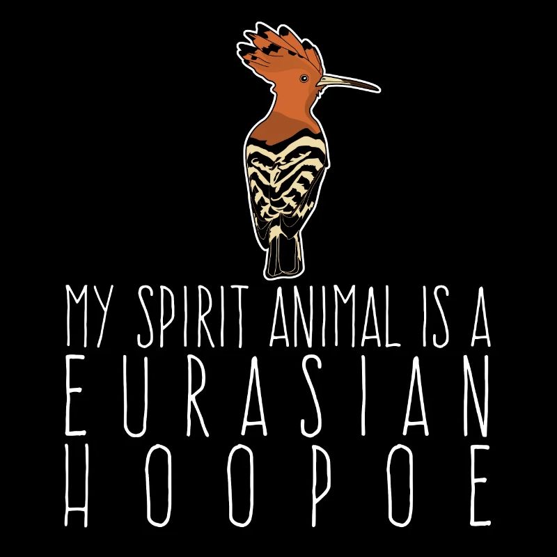 Hoopoe Eurasian hoopoe bird