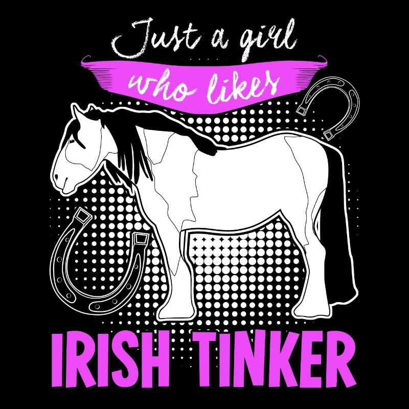 Irish Tinker Pferd Reiterin Pferde