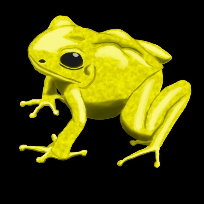 grenouille flèche empoisonnée jaune