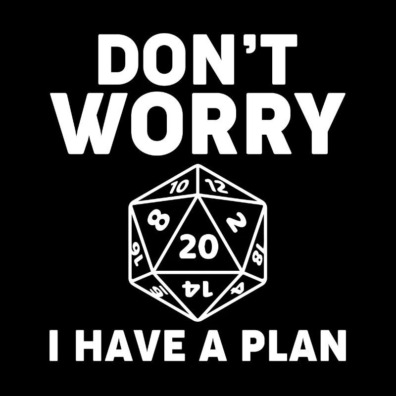 Don't Worry I Have a Plan Board Games Paladin RPG