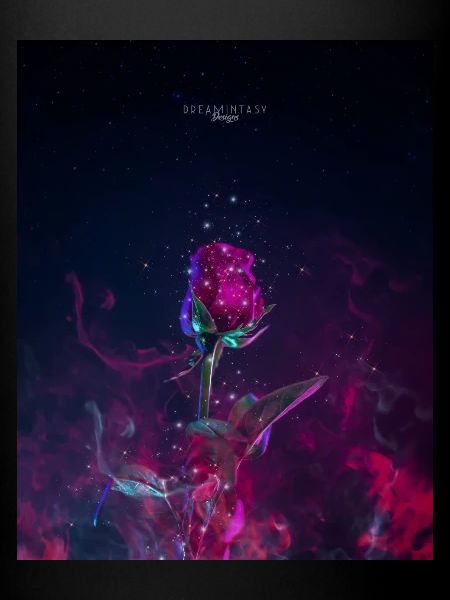 Magic Rose