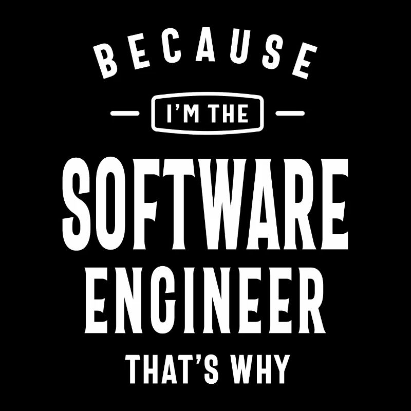 Software Engineer Job Title Profession