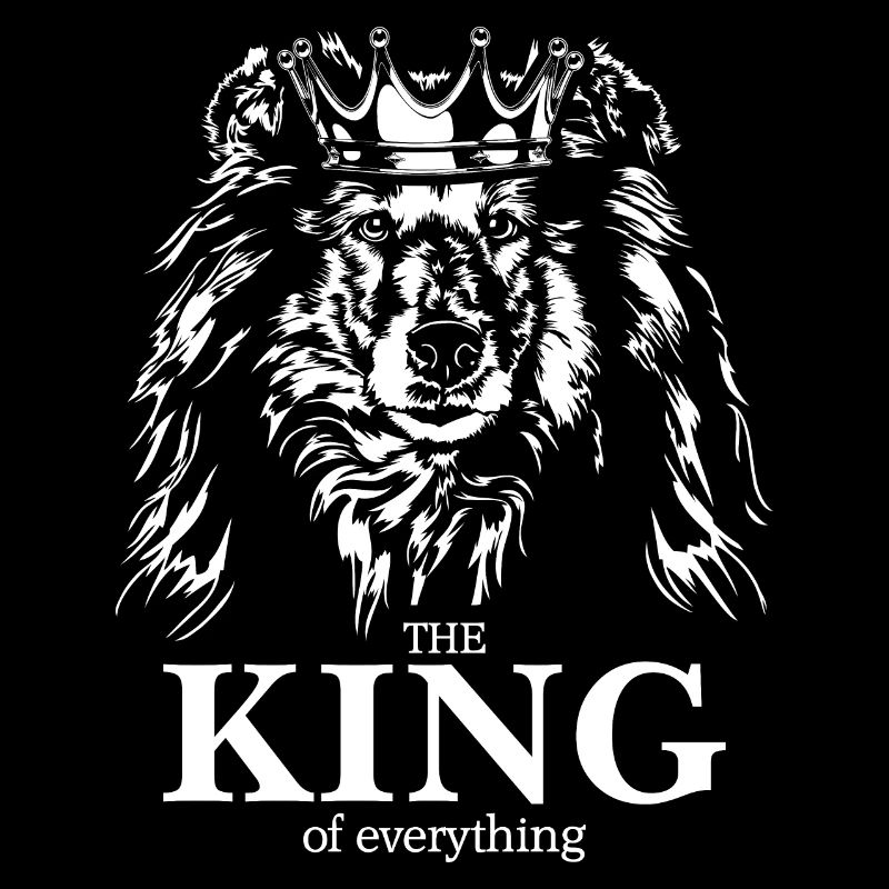 Longhaired Collie King of Everything Dogs Wilsigns