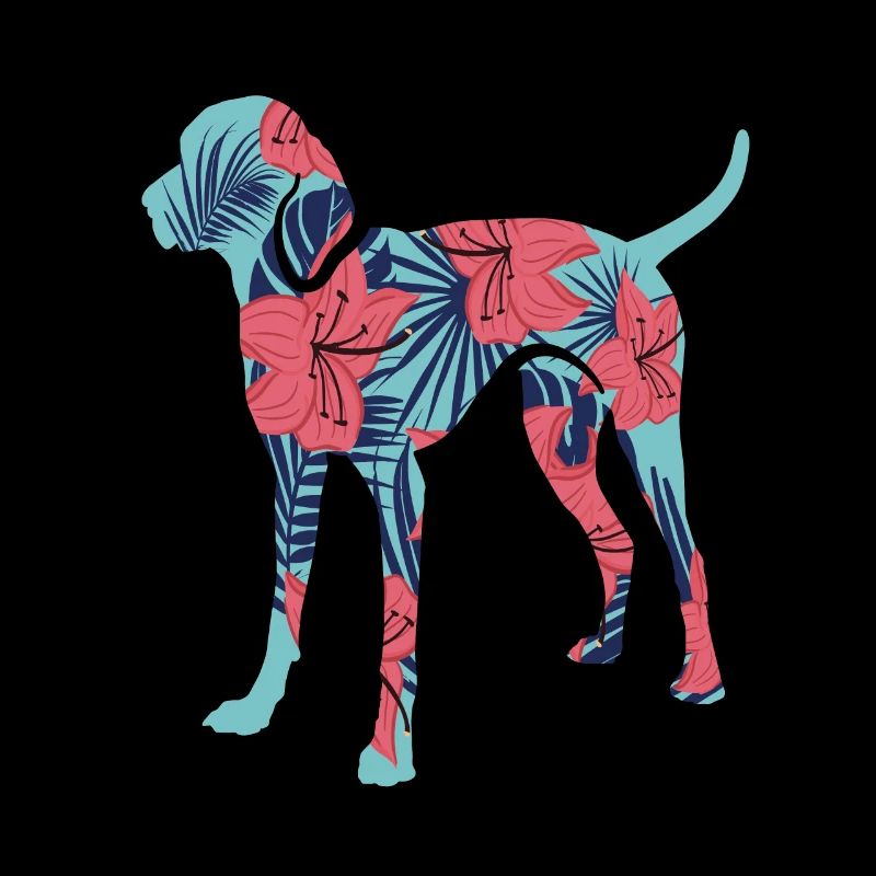 Braque de Weimar Chiens Motif de chien Braque de Weimar fille
