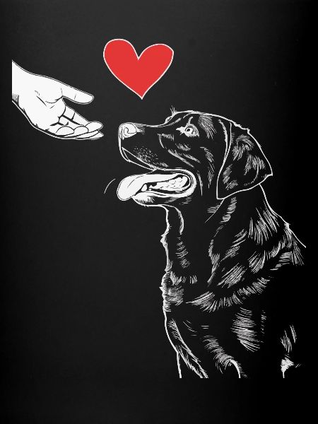 Labrador Chien Chiens
