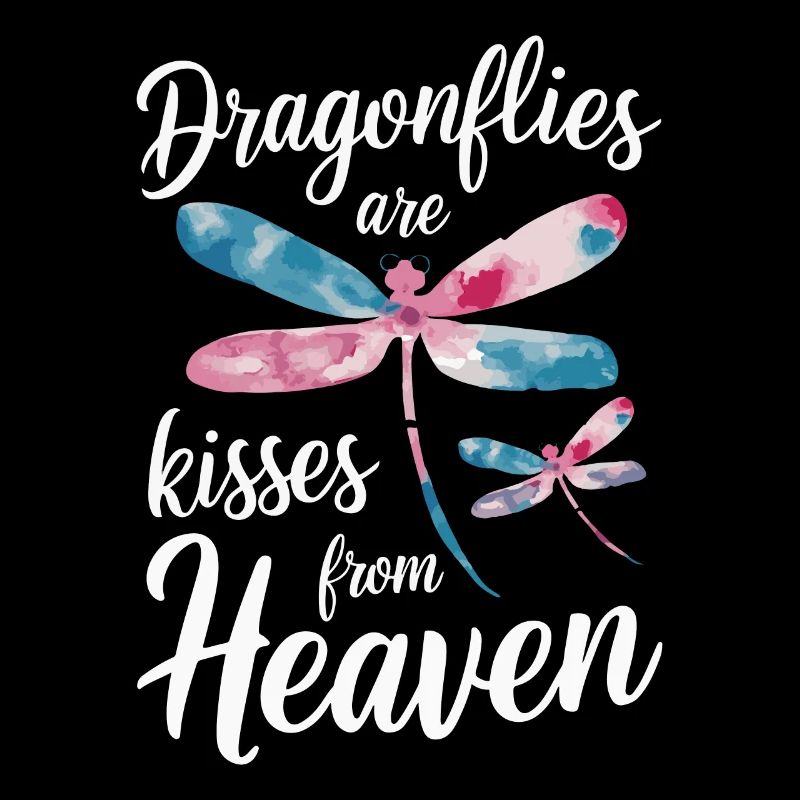 Libellule Libellules Insectes Nature