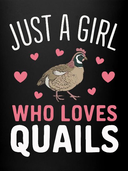 Quail Bird Quails
