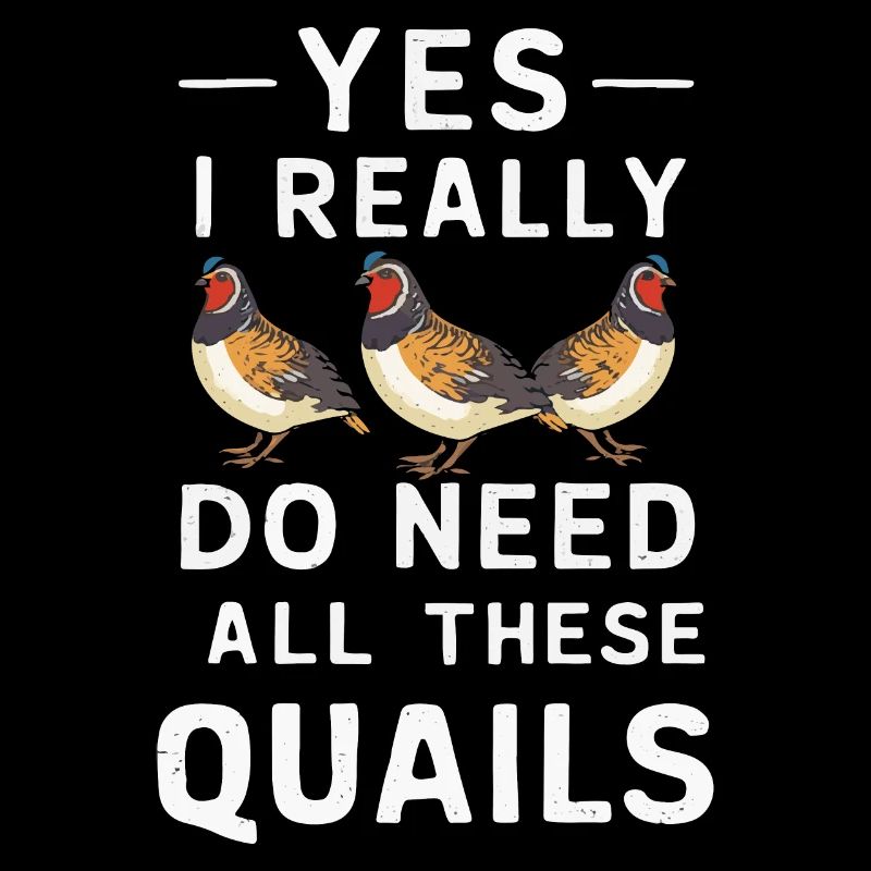Quail Bird Quails
