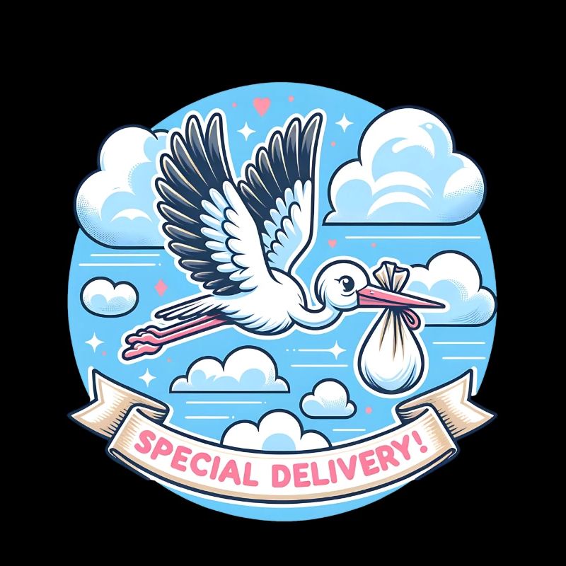 Livraison Spéciale Cigogne Ciel