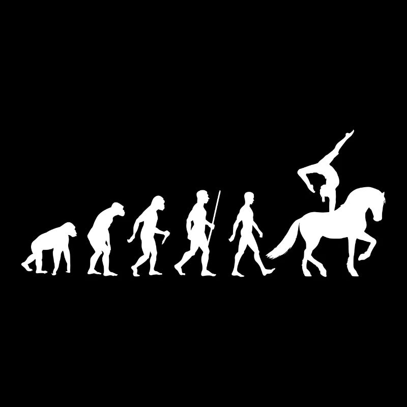 Voltigieren Evolution