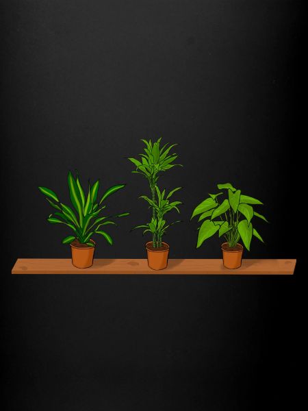 Potted plants shelf