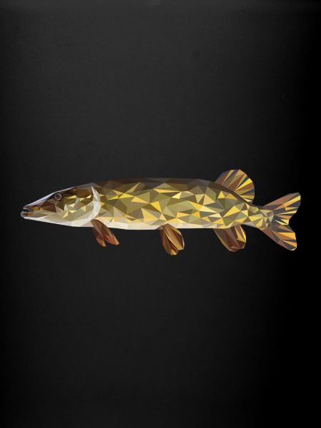 Hecht Fisch