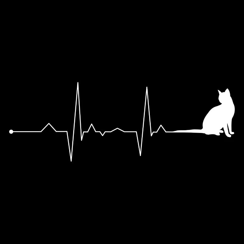 Cat Heartbeat Kitten