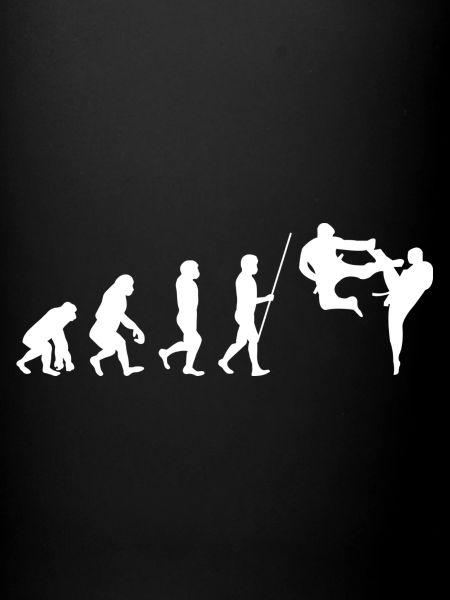 Martial Arts Evolution