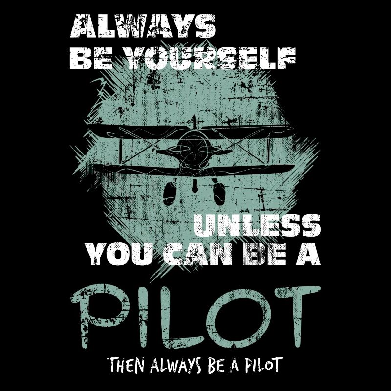 Avion pilote