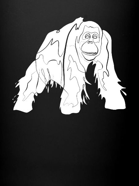 Orang Utan