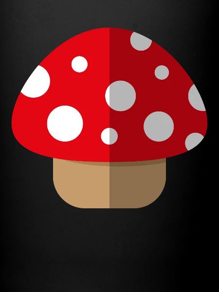 Fly agaric