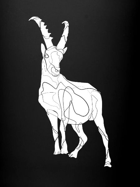 Ziege