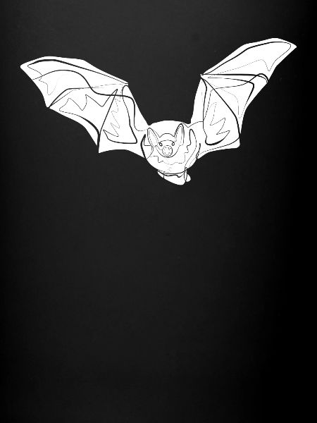 Bat