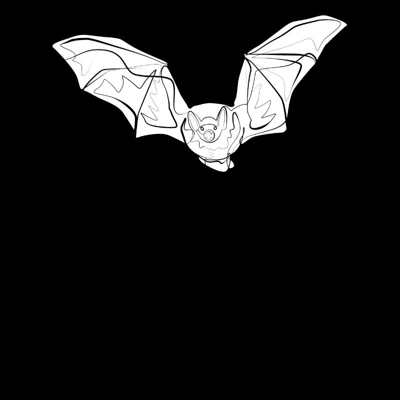 Chauve-souris
