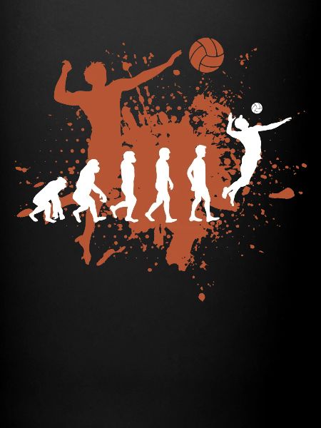 Volley-ball