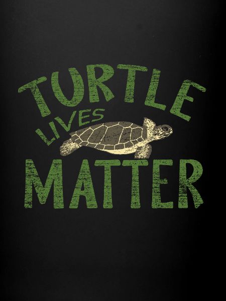 tortue