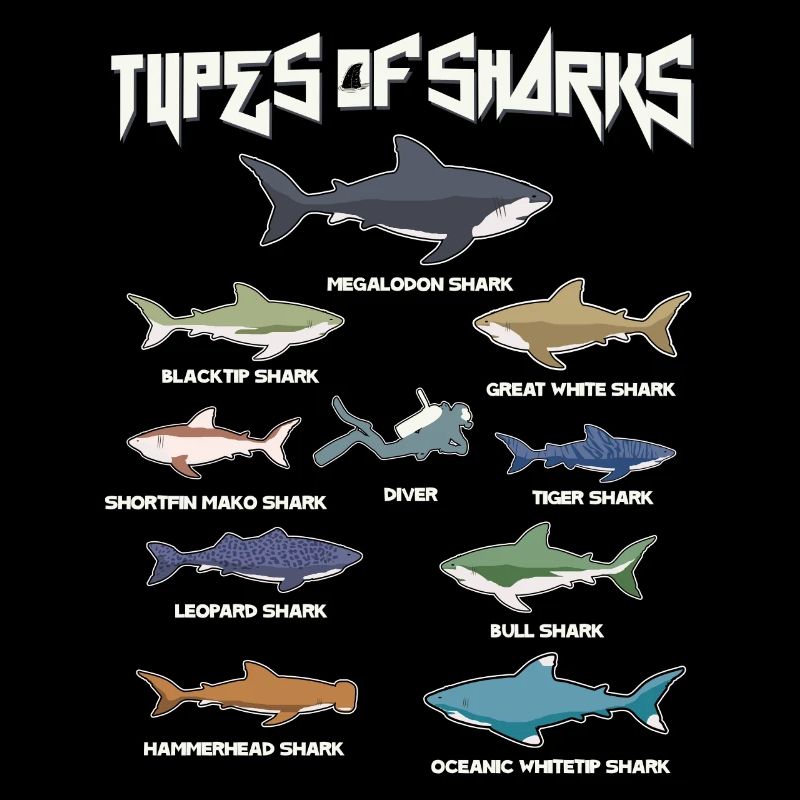Types de requins, Megaldon, Black Tip, Tiger Shark