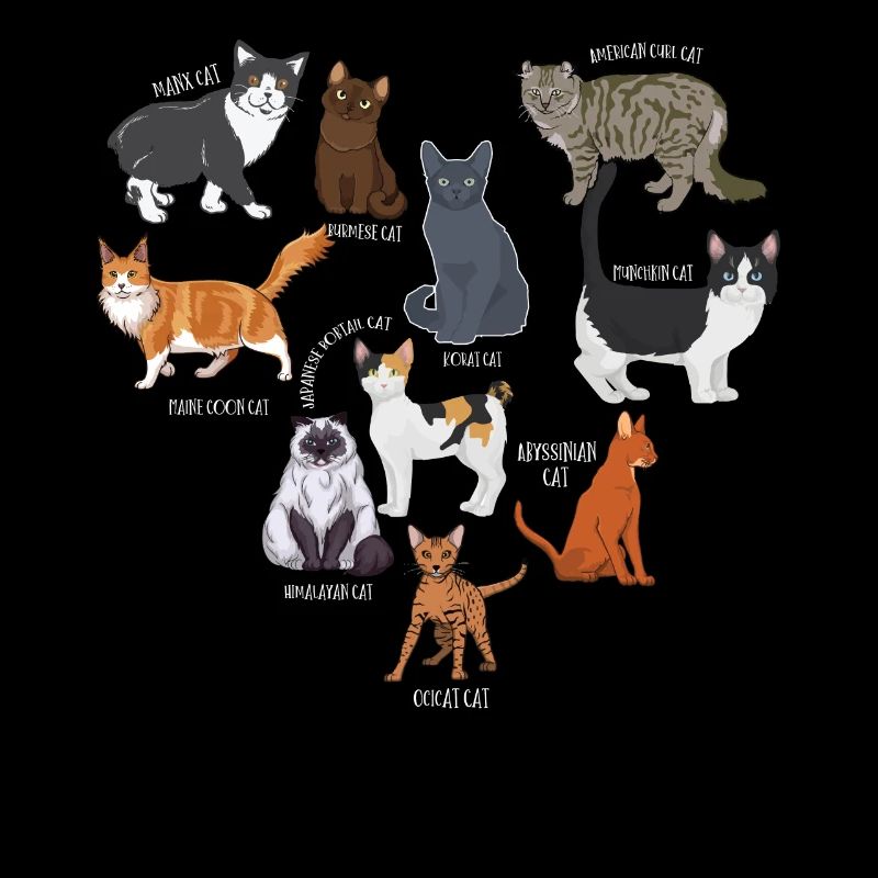 Espèces de chats, chats, chatons