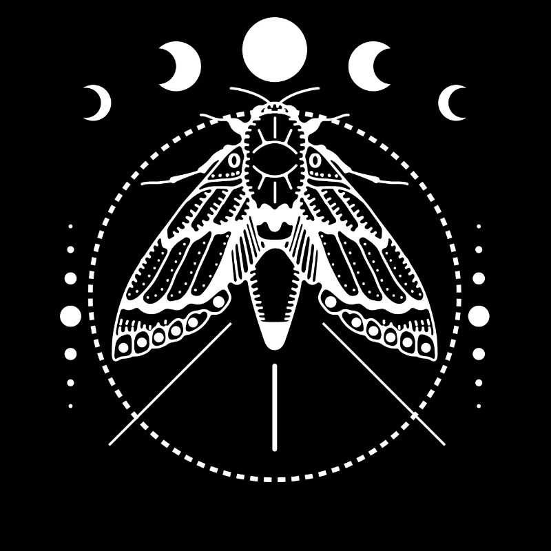 Moth, Moth, Moon Phases, Tarot