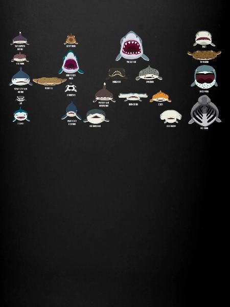 Requins, requins, requins