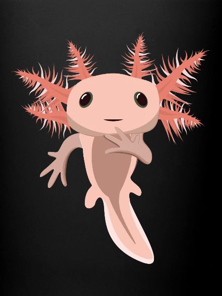 Mignon bébé Axolotl
