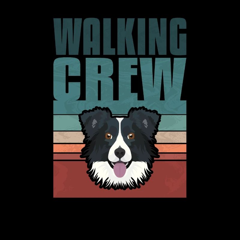 Gassi Crew, Border Collie
