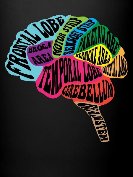 Neurologist Brain Map