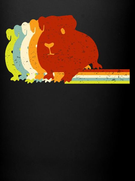 Cochon d’Inde, cochon d’Inde