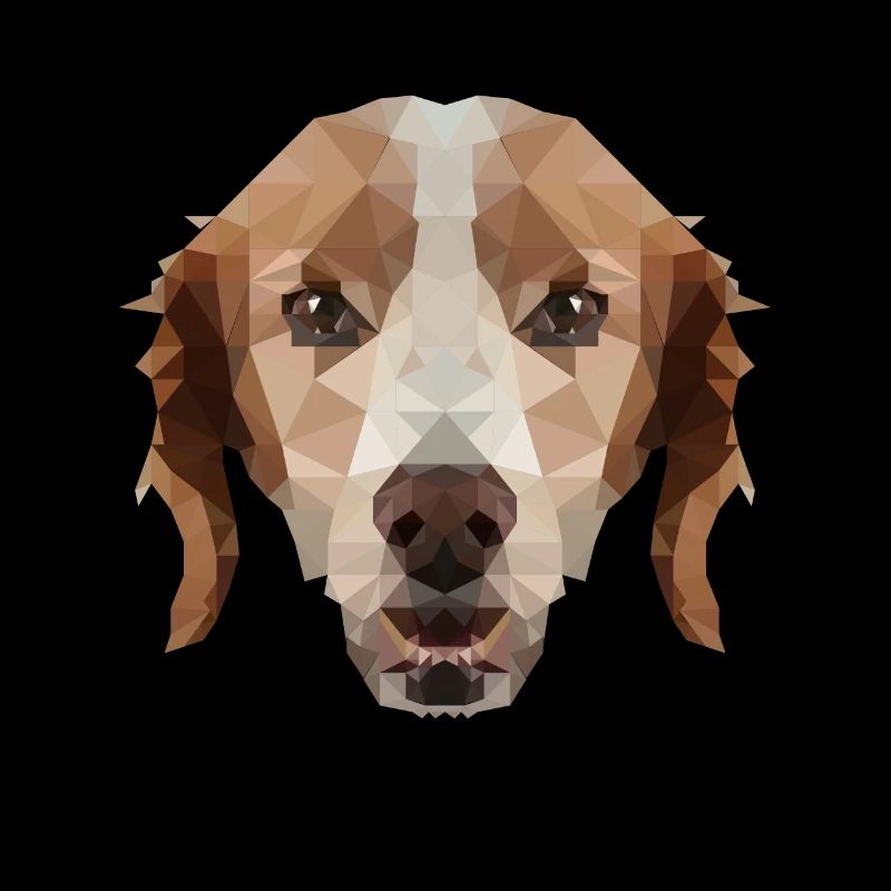 Epagneul Breton Spaniel Polygon Hund Hunde Poly
