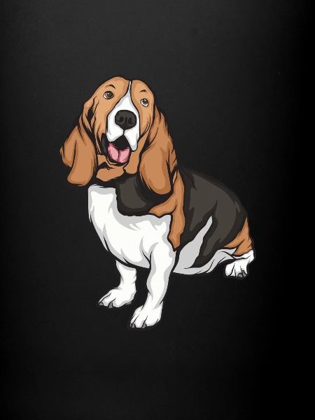 Basset Hound