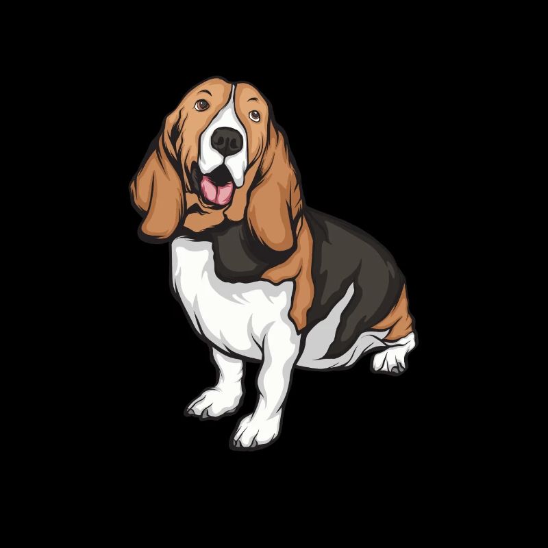 Basset Hound