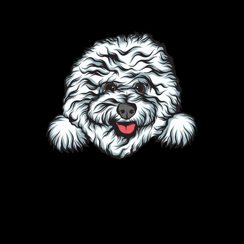 Bichon Frise