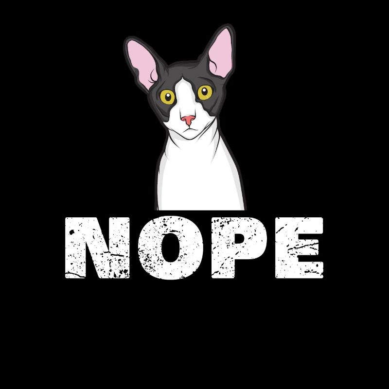 Chats disant Cornish Rex Cat