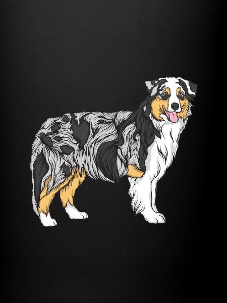 Australian Shepherd