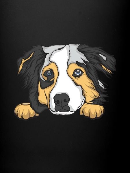 Australian Shepherd