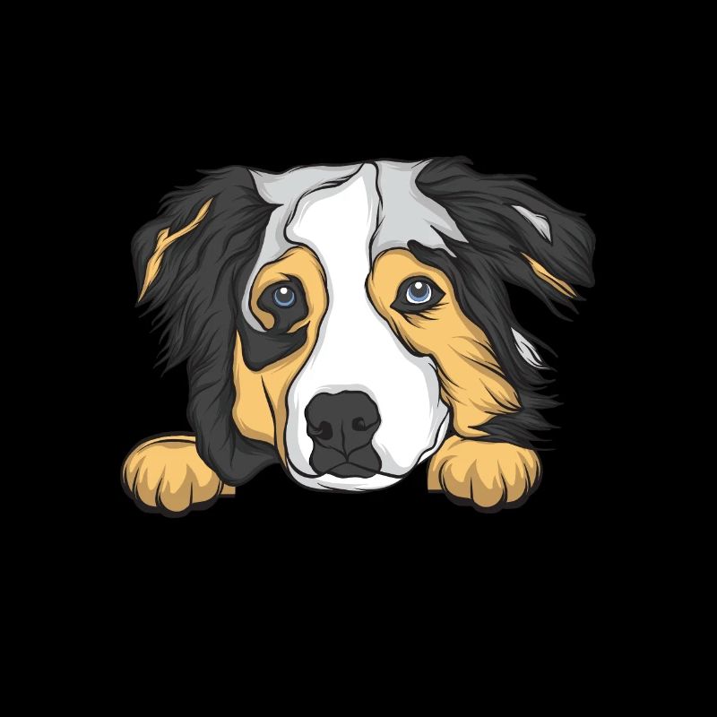 Australian Shepherd