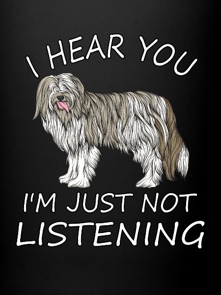 Bearded Collie