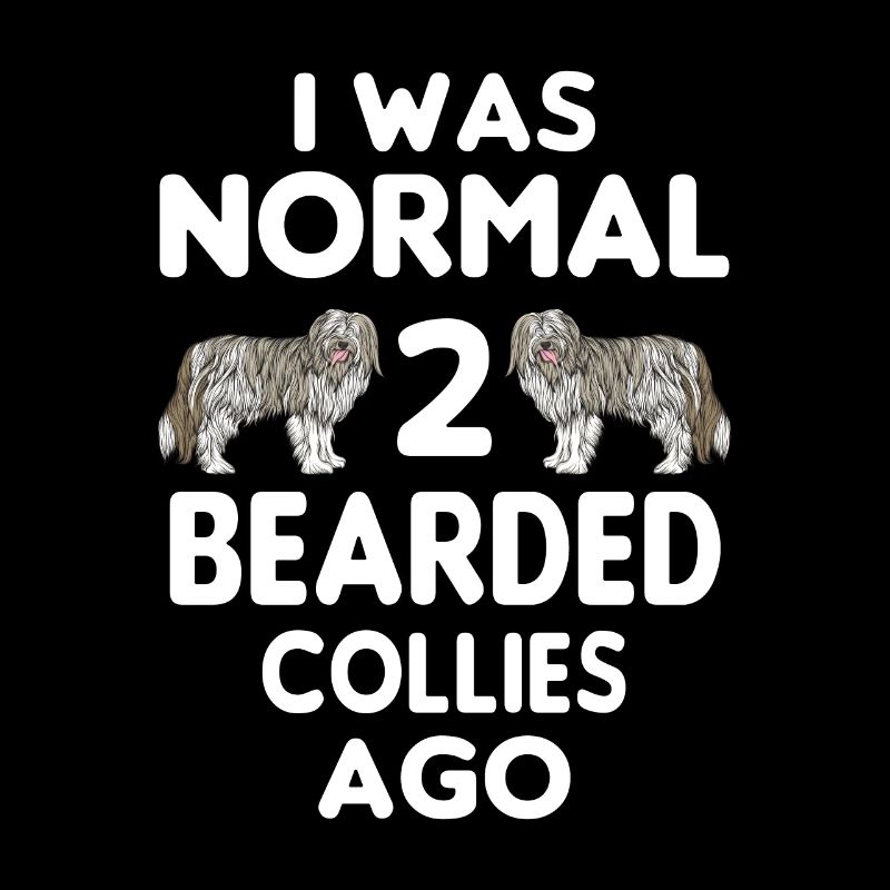 Bearded Collie