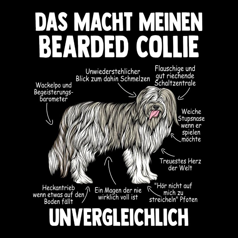 Bearded Collie