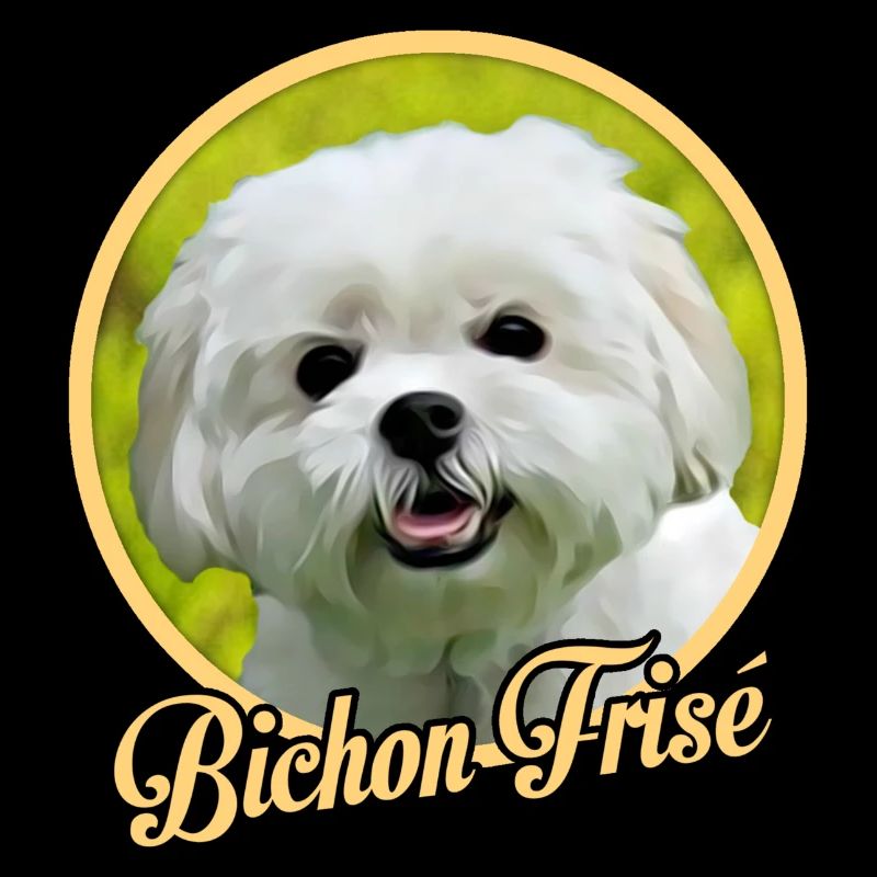Bichon Frise